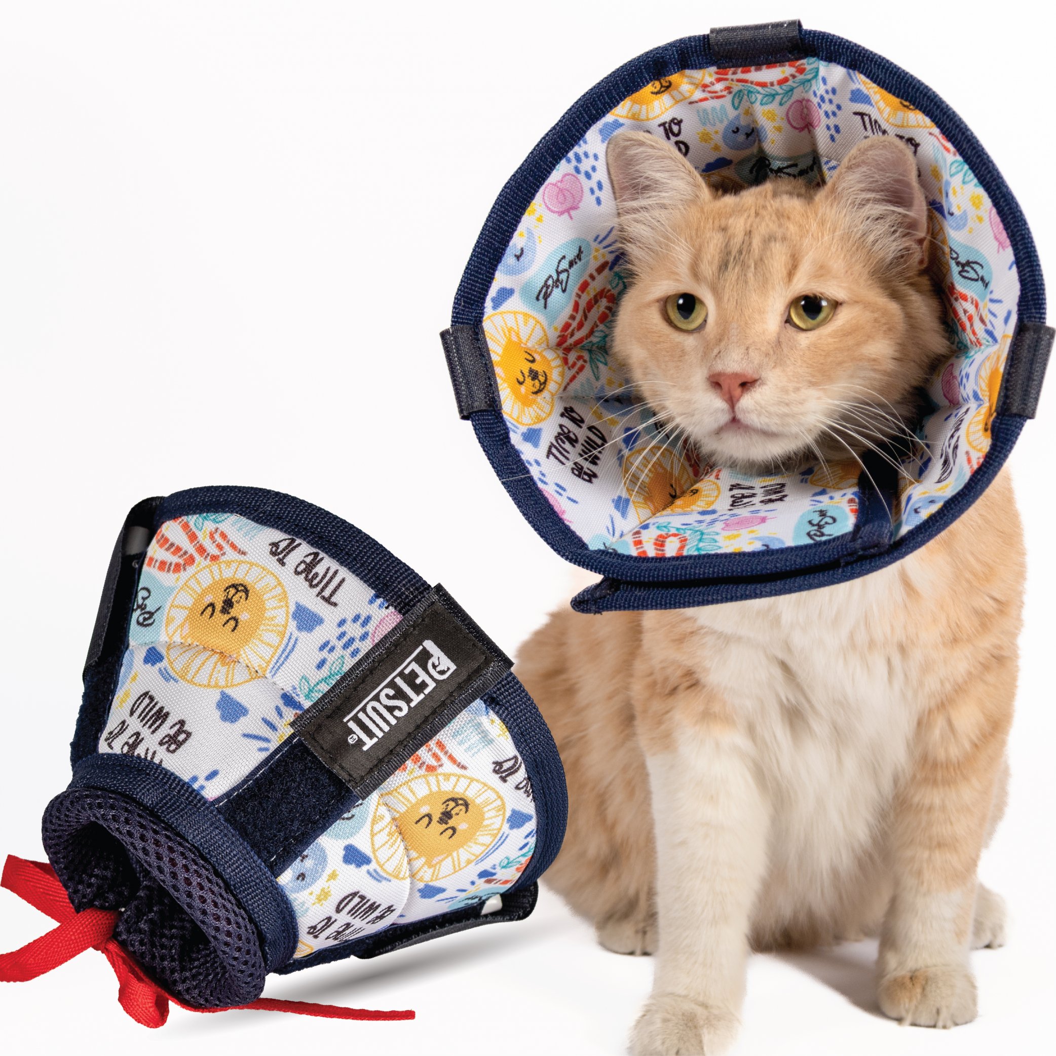 ELİZABETH YAKALIK KEDİ (12.5 CM) RENKLİ