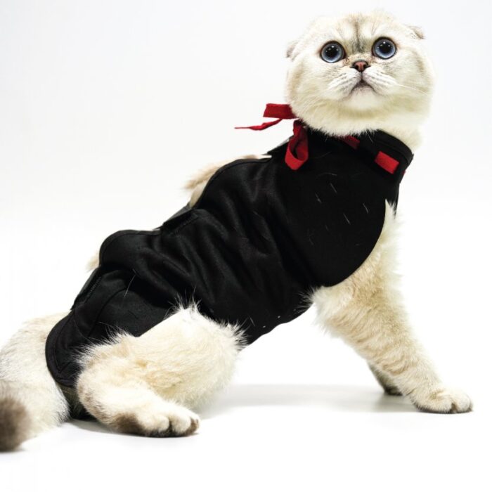 Yara Koruma Korsesi | Kedi Ameliyat Sonrası Koruyucu Korse - Görsel 1