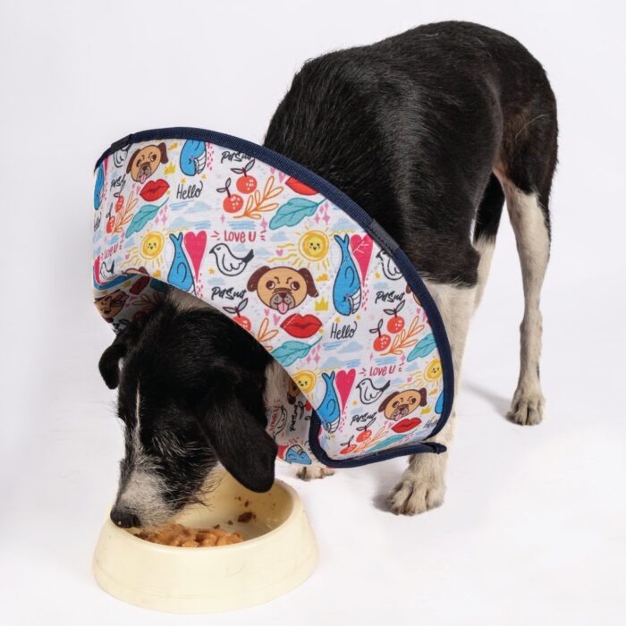 Köpek Elizabeth Yakalık - Görsel 4