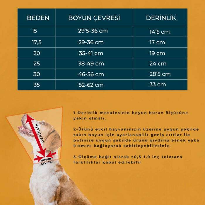 Köpek Elizabeth Yakalık - Görsel 2