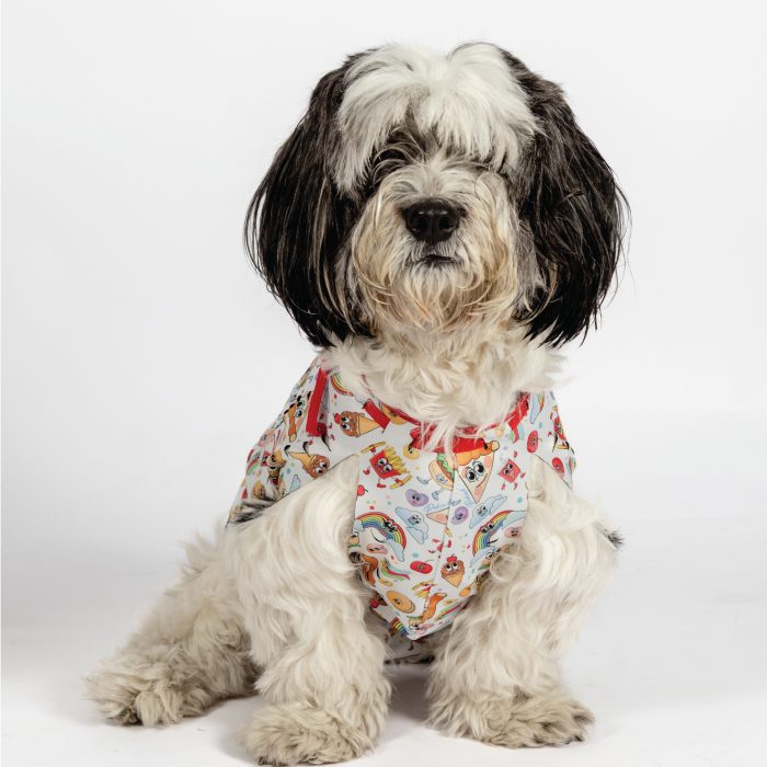 Yara Koruma Korsesi | Köpek Ameliyat Sonrası Koruyucu - Görsel 1